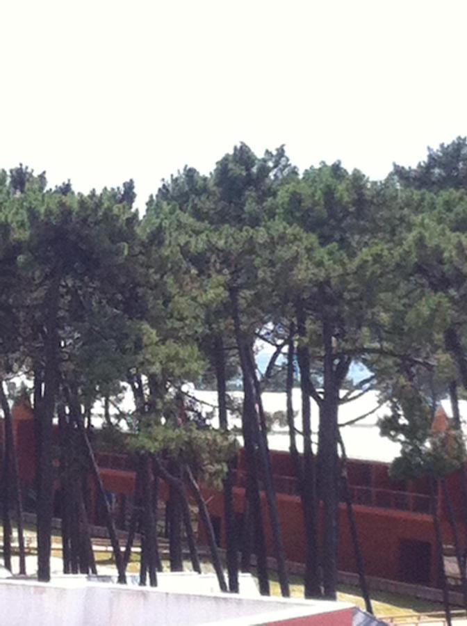 Beach House Cabedelo Viana do Castelo Zewnętrze zdjęcie